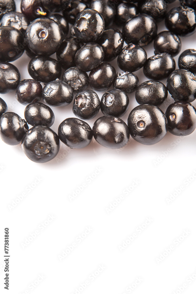 Blaeberry also known as bilberry over white background