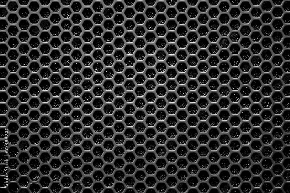 Speaker grille Speaker grille