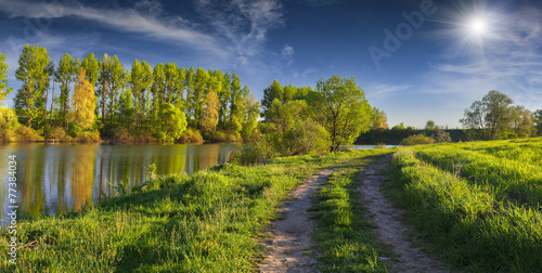 Panorama of the sunny summer morning on the river