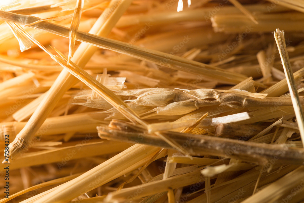 background of dry hay background of dry hay