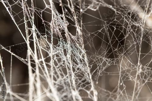 abstract background old spider webs