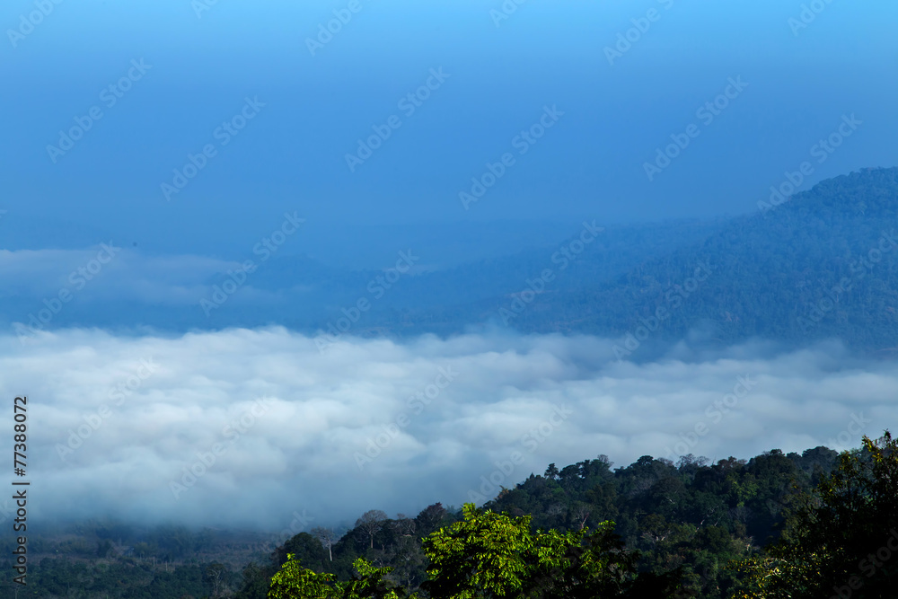 Mountain with mist landscape