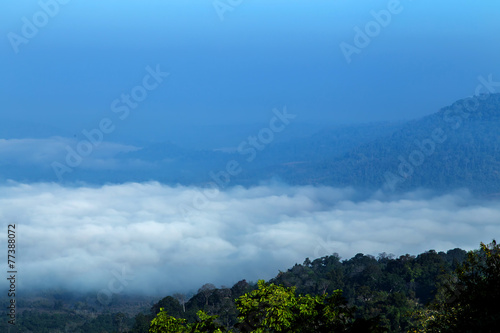 Mountain with mist landscape © maewjpho