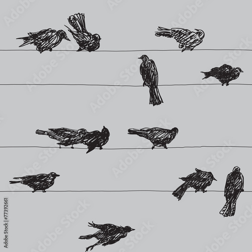 Vector seamless pattern with Birds  on electrical wires