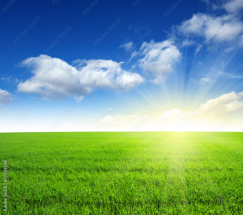 field and sun field and sun