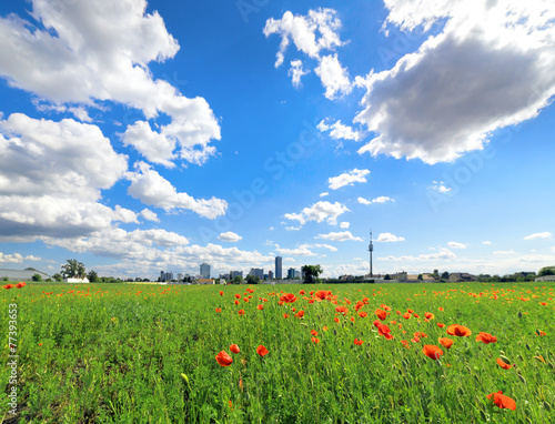 Photography Donaufeld