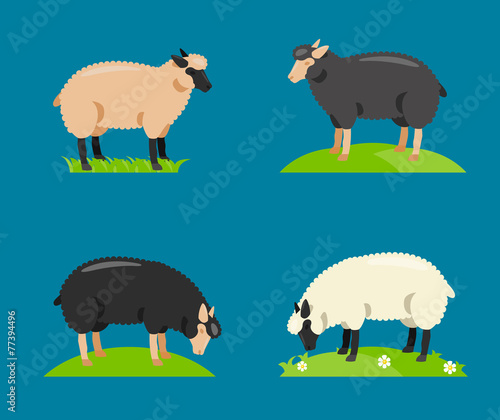 Illustration of a cartoon sheep.Vector