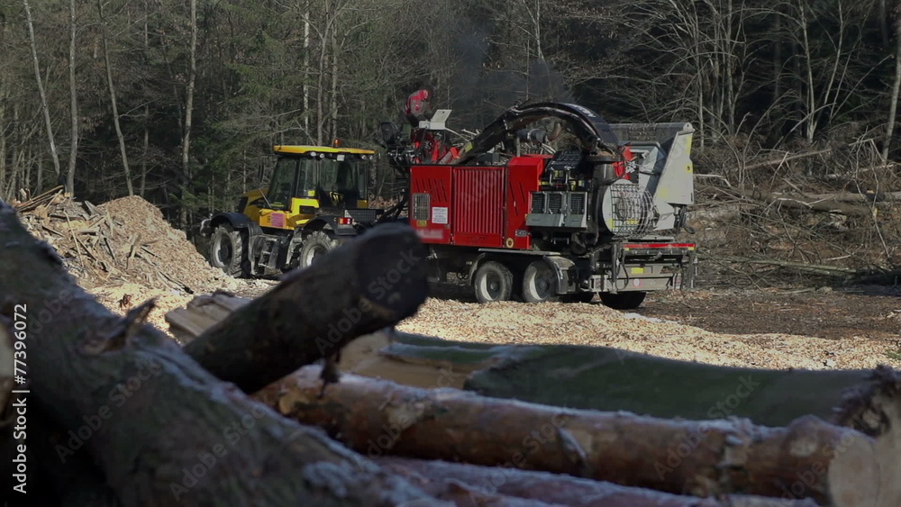 Logs in the front and machinery in the back Logs in the front and machinery in the back