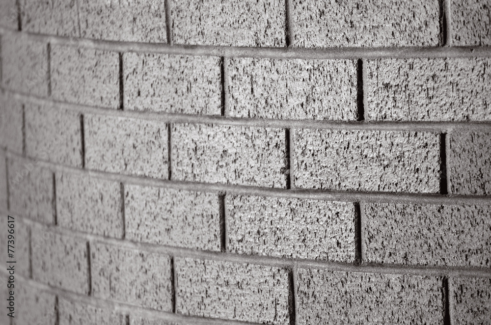 Fototapeta premium Brick wall