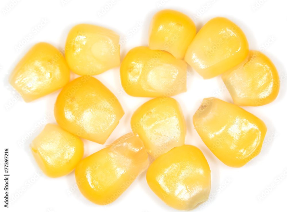 corn on a white background. close-up corn on a white background. close-up