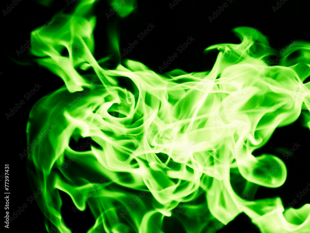 Fototapeta premium The green light on a black background