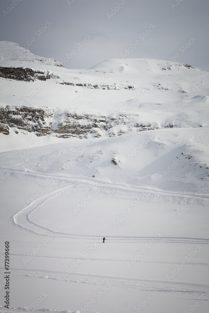 Obraz premium Cross-country skier in the austrian Alps 