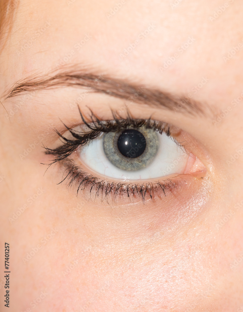 Obraz premium eye. close-up