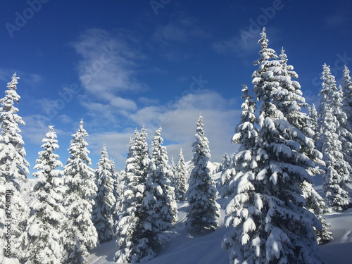 Winterlandschaft