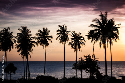 Fototapeta Naklejka Na Ścianę i Meble -  Tropical sunset over sea with palm trees