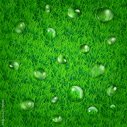 Background with grass and water drops