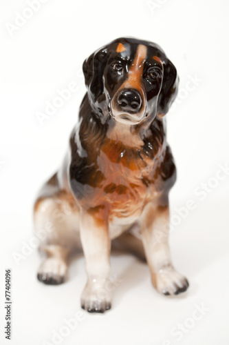 Fototapeta Naklejka Na Ścianę i Meble -  Bernese Mountain Dog, Bernese Mountain Cattle Dog