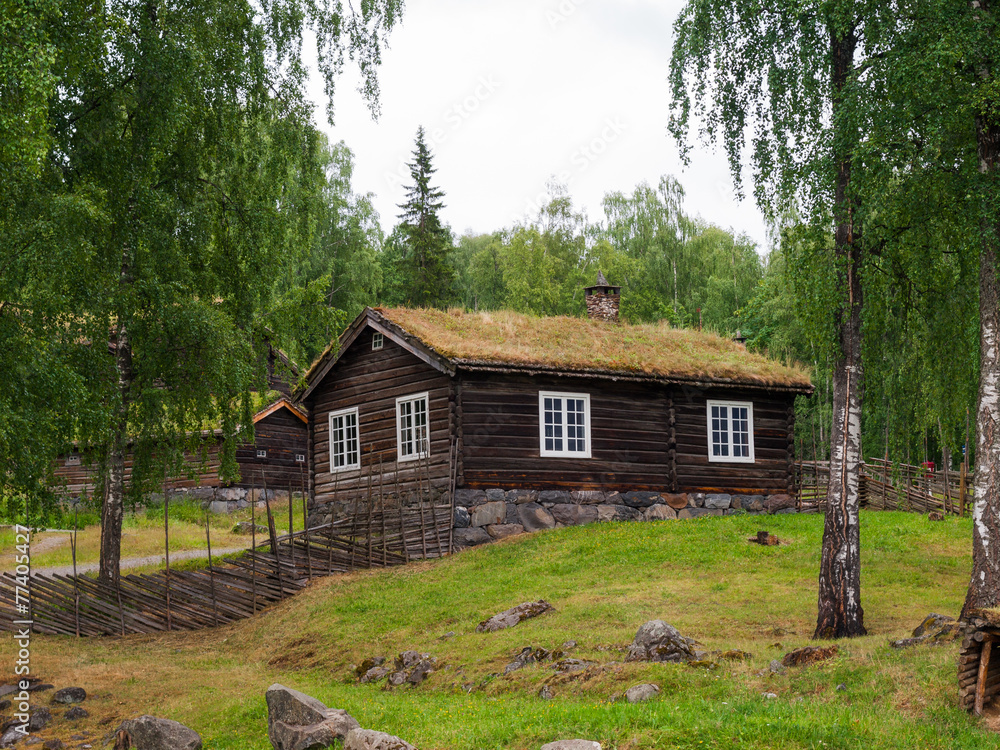 Cottage at Maihaugen museum