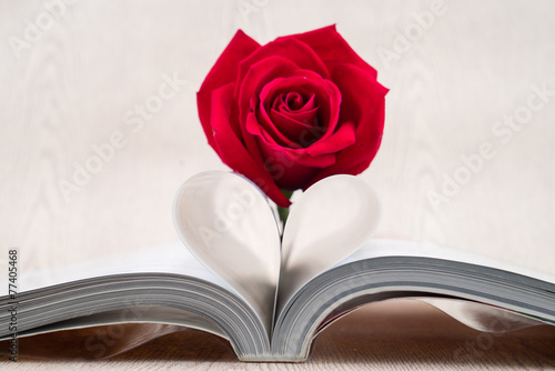 Rose placed on the books page that is bent into a heart shape