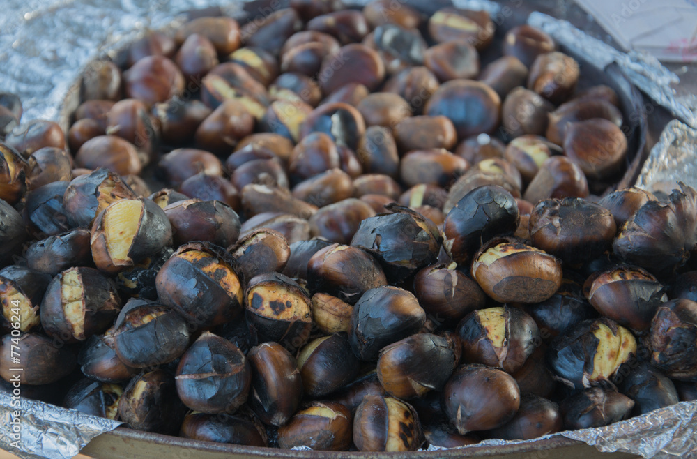 Obraz premium Kestane