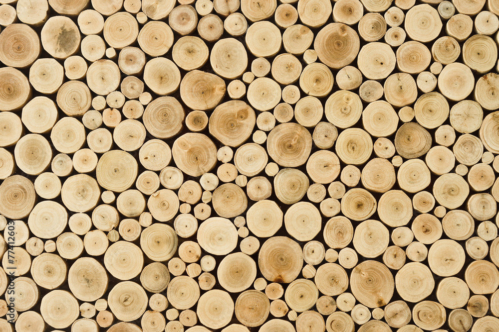 wood stump background wood stump background