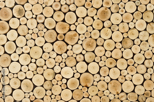 wood stump background