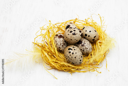 Quail eggs in nest
