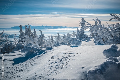 Fototapeta Naklejka Na Ścianę i Meble -  Winter view on Tatra Mountains from Babia Gora - Poland