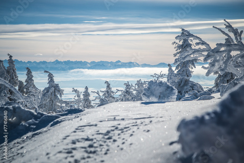 Winter view on Tatra Mountains from Babia Gora - Poland photo