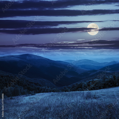 meadow in high mountains at night