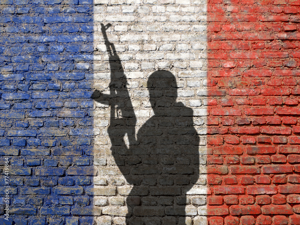 Shadow of man on France flag painted brick wall - obrazy, fototapety, plakaty 