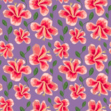 floral texture with stylish seamless hibiscus pattern