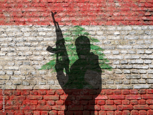 Shadow of man on Lebanon flag painted brick wall