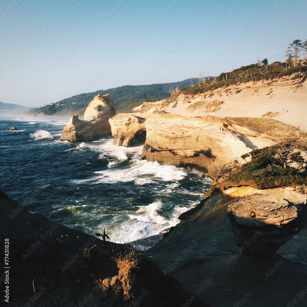 Obraz premium Oregon Coast 