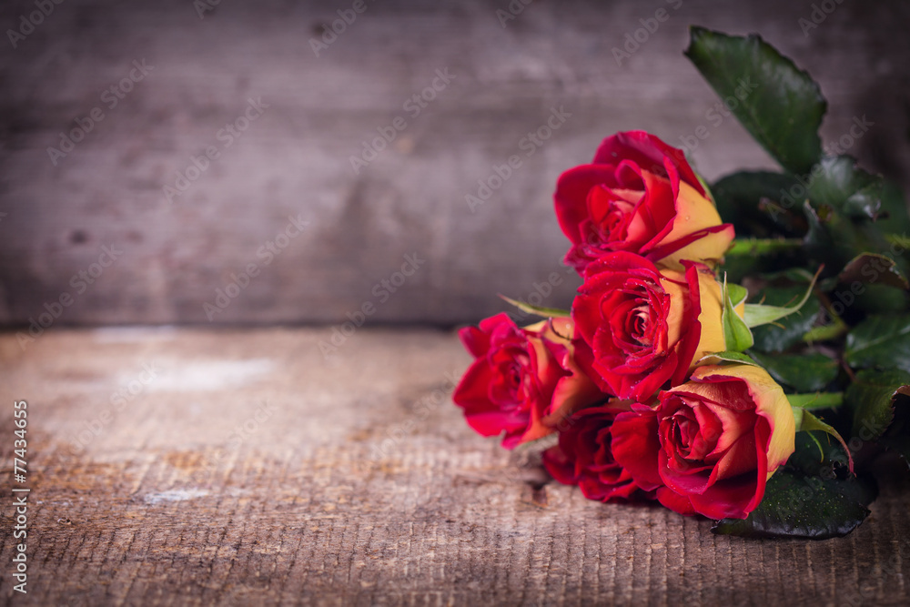 Beautiful flowers roses Beautiful flowers roses