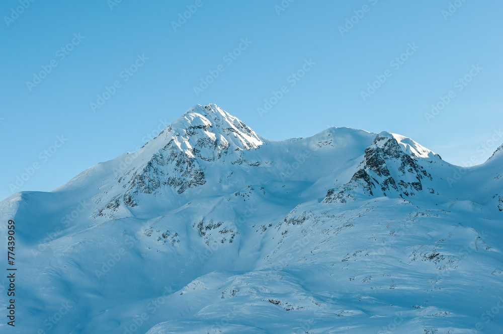 Alpine Alps mountain landscape along the Bernina Express