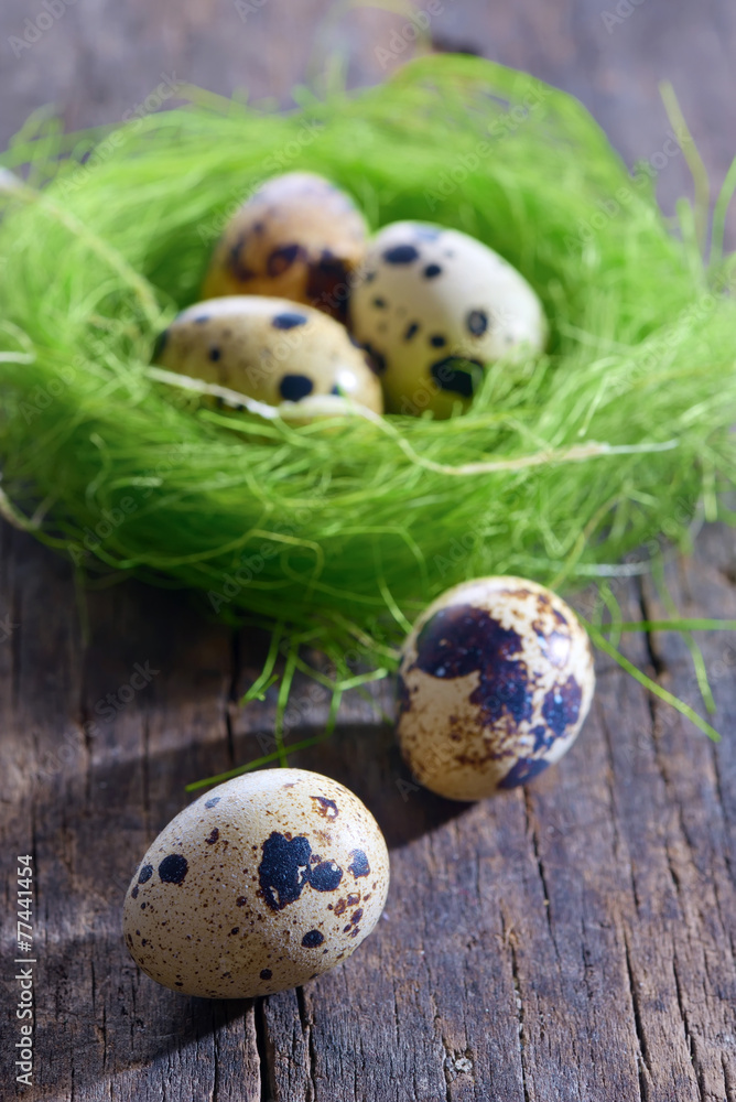 quail eggs in a nest
