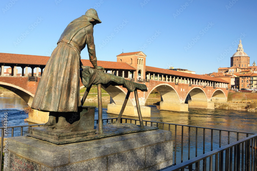 Pavia Ponte Coperto