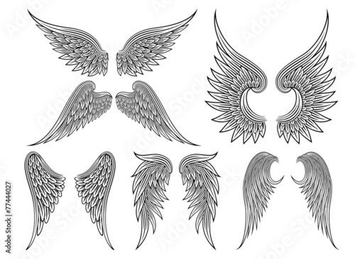 Obraz na plátně Vector heraldic wings or angel