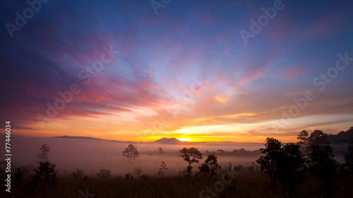 misty morning sunrise in mountain at Thung Salang Luang National