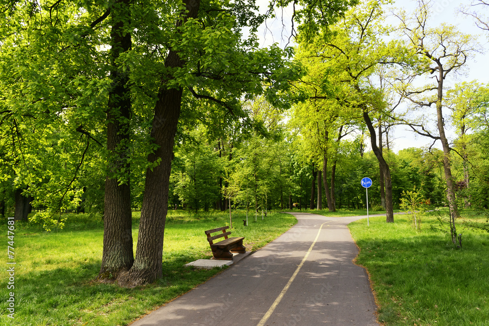 Obraz premium City park