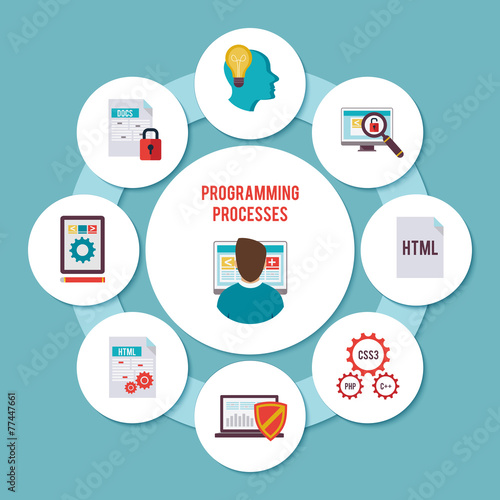 Programmer Flat Concept