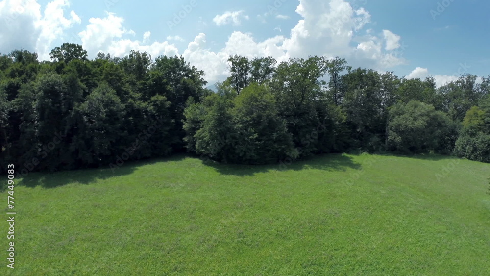 green grass field in countryside green grass field in countryside