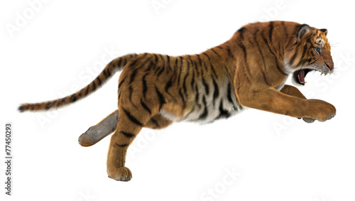 Fototapeta Naklejka Na Ścianę i Meble -  Hunting Tiger