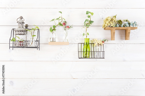 白い壁 植物 飾り棚 © Chikako Kamitori