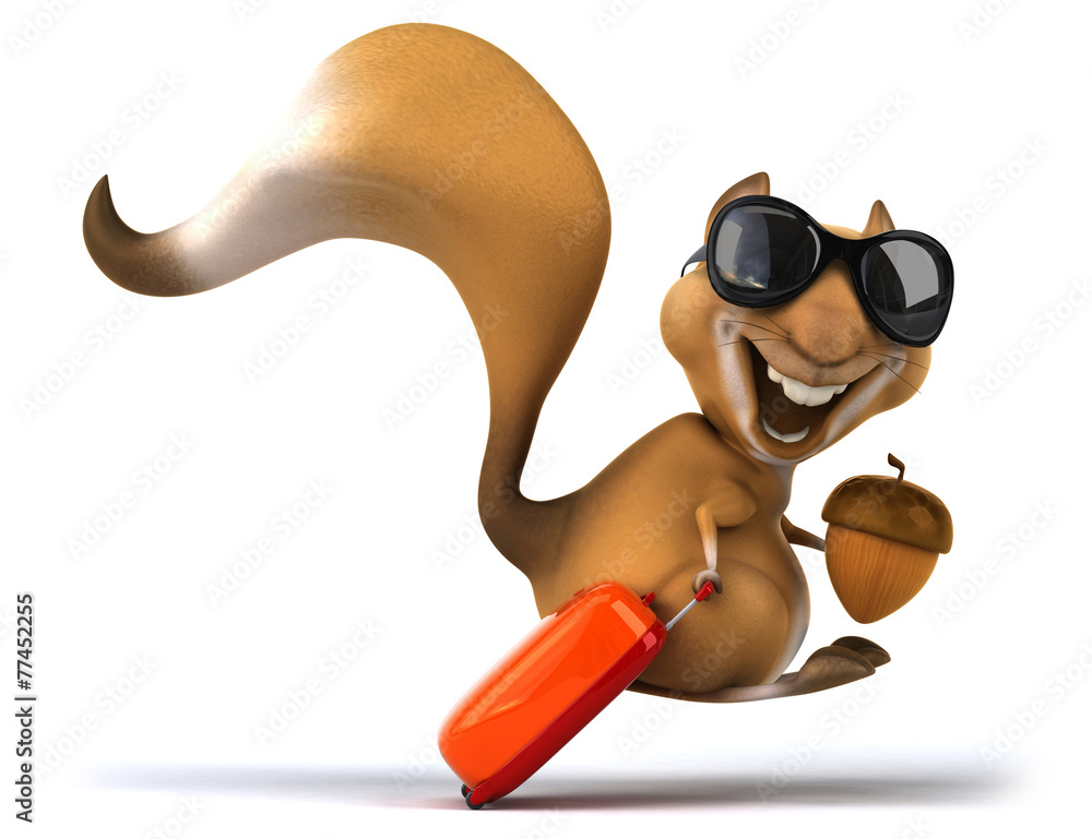 Fun squirrel Fun squirrel