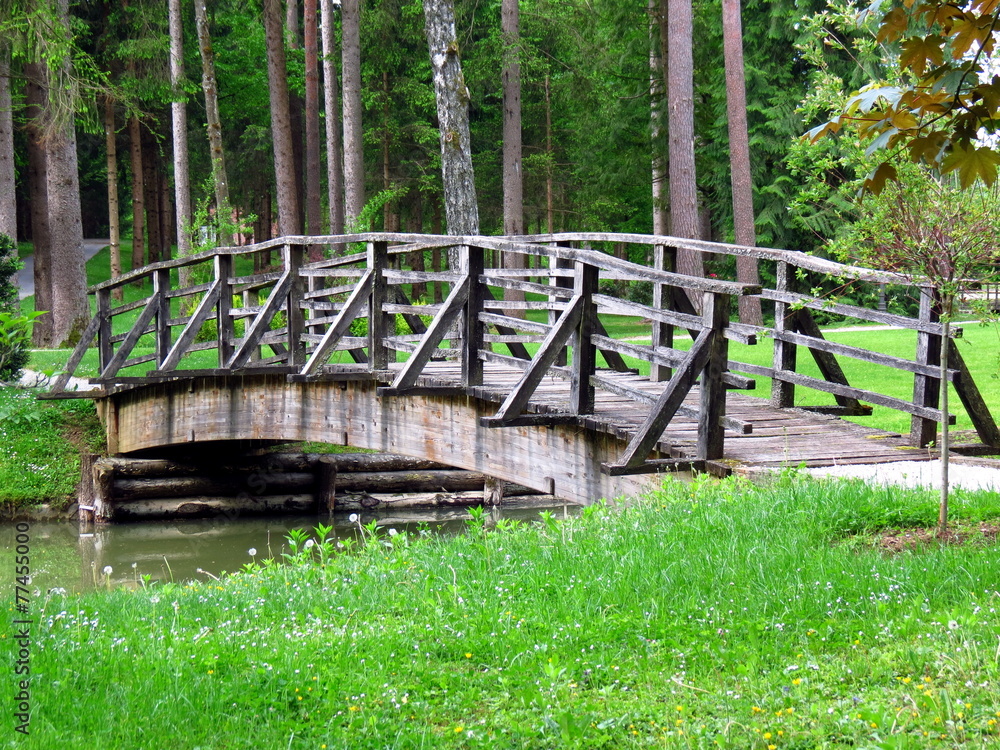 Wooden bridge over pond with green grass