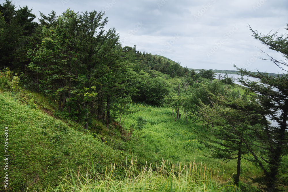 Scenery of summer nature Scenery of summer nature