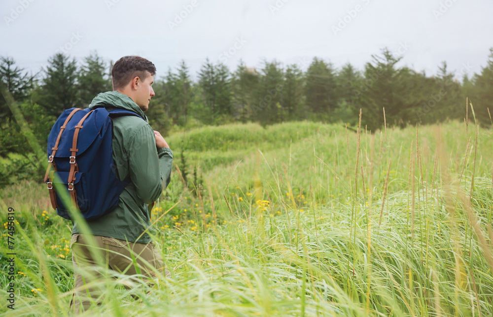 Hiker man walking among high grass in summer Hiker man walking among high grass in summer