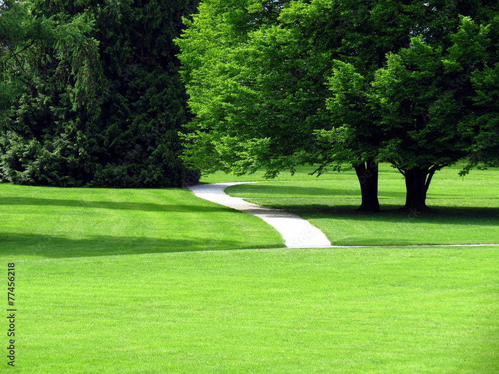 Fototapeta premium Path in green park